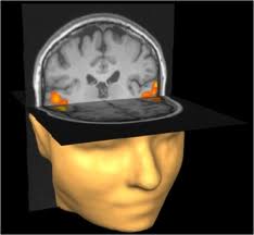 File:Psychologyschool.jpg