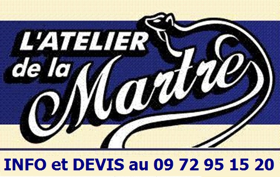 Logo ADLM et tel.JPG