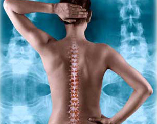 File:Chiropractictraining.jpg