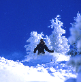 Ski colorado.gif