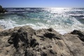 Rottnest-Australia.jpg