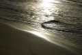 Wave.jpg
